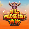 Wild Wildebeest Wins