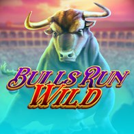 Bulls Run Wild