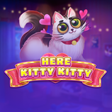 Here Kitty Kitty