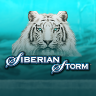 Siberian Storm