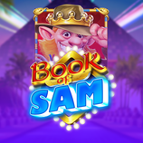 Book Of Sam