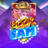 Book Of Sam