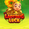 Ladybug Luck
