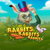 Rabbits Rabbits Rabbits!