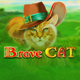 Brave Cat