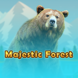 Majestic Forest