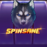 Spinsane