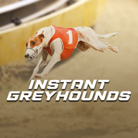 Instant Greyhounds