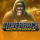 Silverback: Multiplier Mountain
