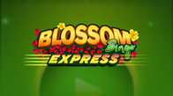 Blossom Evobingo Express