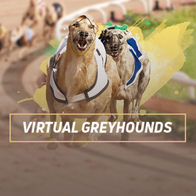 Grey Hounds