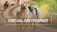 Grey Hounds