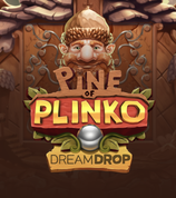Pine Of Plinko Dream Drop