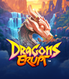 Dragons Erupt