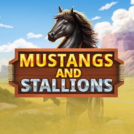 Mustang And Stallions