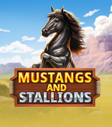 Mustang And Stallions