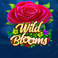 Wild Blooms