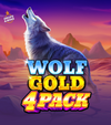 Wolf Gold 4 Pack