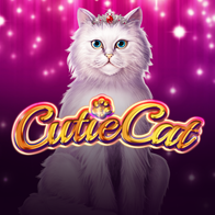 Cutie Cat