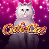 Cutie Cat
