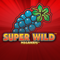 Super Wild Megaways