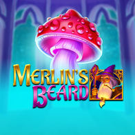 Merlins Beard