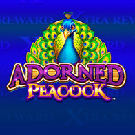 Adorned Peacock