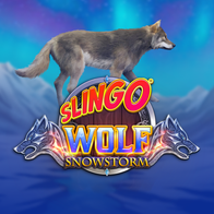 Slingo Wolf Snowstorm