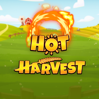 Hot Harvest