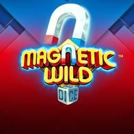 Magnetic Wild Dice