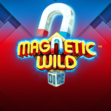 Magnetic Wild Dice