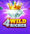 4 Wild Riches