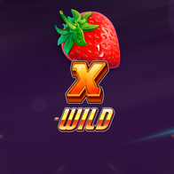 X-Wild