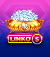 Linko 5