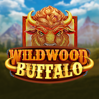 Wildwood Buffalo