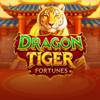 Dragon Tiger Fortunes