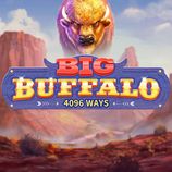 Big Buffalo