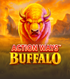 Action Ways Buffalo