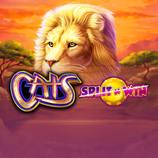 Cats Split N Win