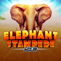 Elephant Stampede SE