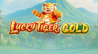 Lucky Tiger Gold