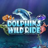 Dolphins Wild Ride