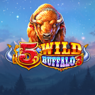 5 Wild Buffalo 3