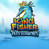Kingfisher Winterborn