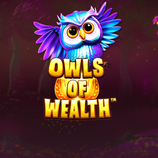 Owls of Wealth