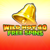 Wild Hot 40 Free Spins