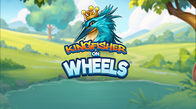 Kingfisher On Wheels