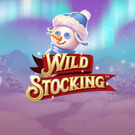 Wild Stocking