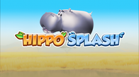 Hippo Splash
