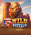5 Wild Buffalo Dream Drop